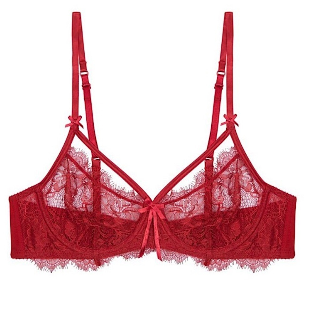 Heidi Klum Intimates Red Lace Valerie Bra 36DD